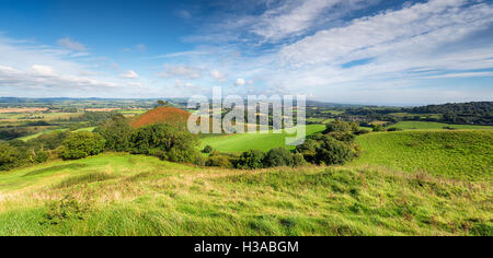 A panoramic view of the Dorset countryside from Quarry Hill near Bridport and looking towards Colmer's Hill a local landmark Stock Photo