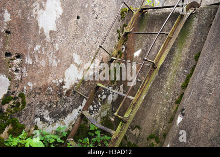 Rusted old metal ladder goes up on grunge concrete wall Stock Photo