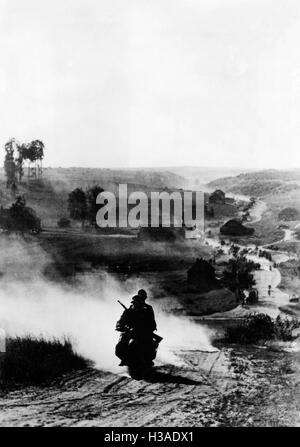 German vehicles advance on the Eastern Front, 1941 Stock Photo - Alamy