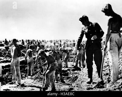 RAD-men building border fortifications in East Prussia, 1944 Stock Photo