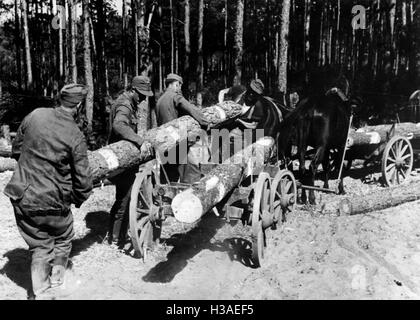 Building an emplacement during the fighting in East Prussia, 1944 Stock Photo