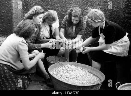 Jungmaedel peeling potatoes, 1943 Stock Photo