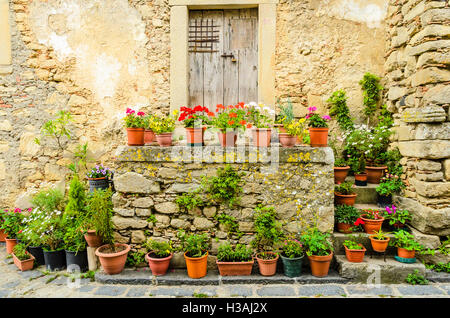 Flower-pots on steps in old town of Montalbano Elicona in the Province of Messina, Sicily, Italy Stock Photo