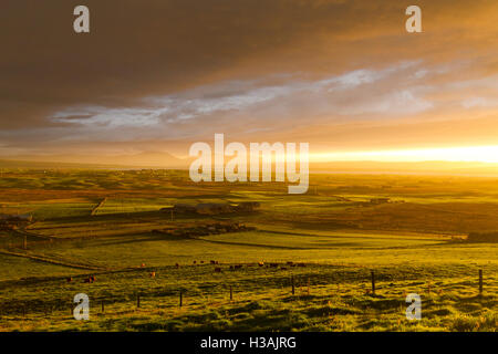 Orkney isles vista Stock Photo