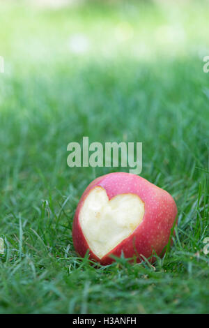 Malus domestica. Heart shape cut into an Apple on the grass Stock Photo