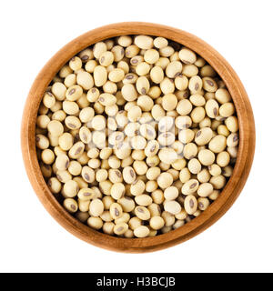 Soybeans in wooden bowl on white background. Glycine max, also known as soya bean is a legume and oilseed. Stock Photo