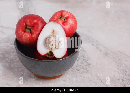 Tropical fruit Acmella oleracea (toothache plant, paracress, electric daisy, jambu) in bowl on marble table. Stock Photo