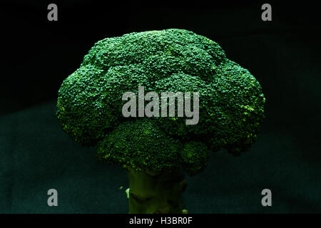 Brocolli on a wooden table Stock Photo