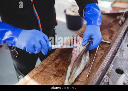 Fisherman filleting fish Stock Photo