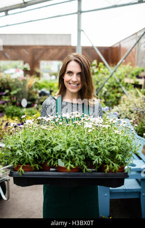 Female florist holding a tray of potted plant Stock Photo