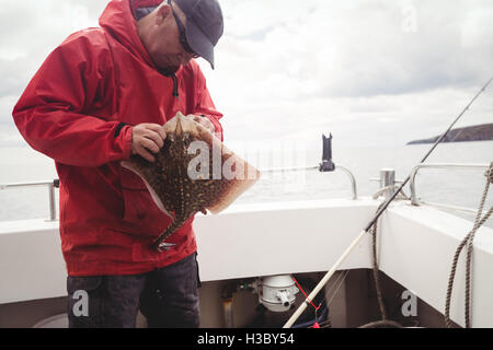 Fisherman removing hook from a ray fish Stock Photo