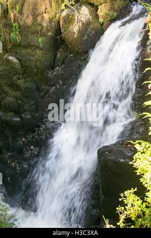 One of the cascades upstream of Aira Force waterfall, Cumbria, England, UK Stock Photo