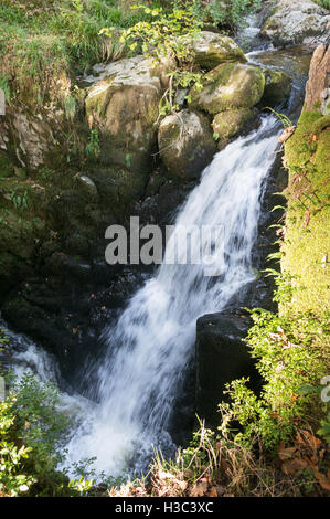 One of the cascades upstream of Aira Force waterfall, Cumbria, England, UK Stock Photo