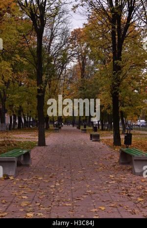 Park alley in autumn Stock Photo - Alamy