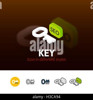 Key icon in different style Stock Vector