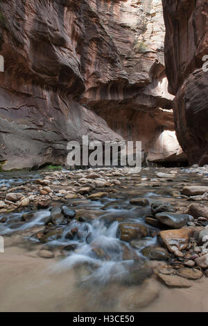 River running through canyon in Zion National Park, Utah, USA Stock Photo