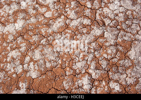 Close-up of dry, cracked soil Stock Photo