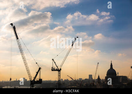 Tower cranes on the Bloomberg Place site silhouetted in afternoon sun against the London skyline with St Paul's Cathedral Stock Photo