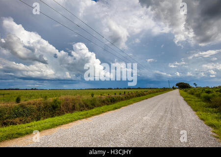 Road running into the distance with big dramatic white storm clouds in blue sky in Southwestern Florida Stock Photo