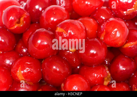 Pitted pie cherries, Marion County, Oregon Stock Photo