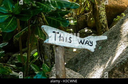 Wooden sign in the forest indicating the right direction. Stock Photo