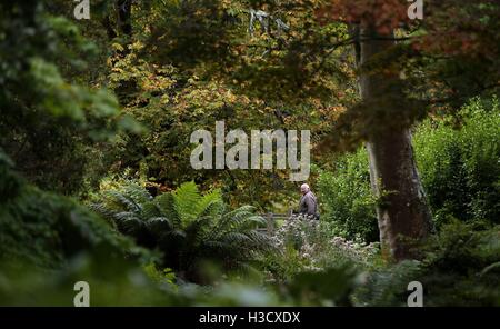 A man walks over the Japanese bridge at Exbury Gardens in the New Forest as autumnal colours begin to show through. Stock Photo