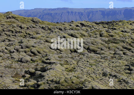 Eldhraun lava field Kirkjubæjarklaustur Iceland Stock Photo