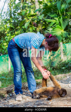 Beautiful European Tourist Woman Playing With A Monkey On The Rescue Center, Ecuador, South America Stock Photo