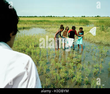 Man watching a group of boys and girls standing in a swamp, fishing with a scoop net. Stock Photo
