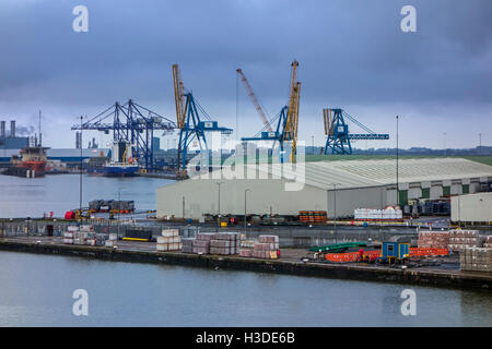 Warehouse and harbour cranes along dock in the port of Hull at Kingston upon Hull, England, UK Stock Photo