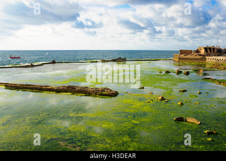 Remains of a Templar Fortress, in the old city of Acre, Israel Stock Photo