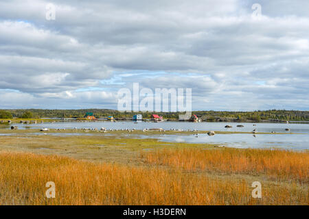 Lake Houses - Colorful houseboats in Yellowknife Bay of Great Slave Lake, Yellowknife, NWT, Canada. Stock Photo
