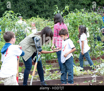 Washington DC, USA. 6th October, 2016. First Lady Michelle Obama shows one of the student helpers a caterpillar she found during her  last White House vegetable garden harvest . Credit:  Patsy Lynch/Alamy Live News Stock Photo