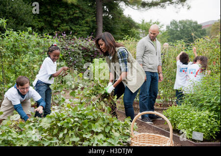 Washington DC, USA. 6th October, 2016. First Lady Michelle Obama participates in her last White House vegetable garden harvest . Credit:  Patsy Lynch/Alamy Live News Stock Photo