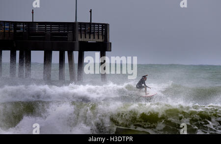 Hollywood, FL, USA. 6th Oct, 2016. Mark Oliver, surfs the Hurricane Matthew waves of Dania Beach for his sponsor Yogiiza, Thursday, October 6, 2016.SOUTH FLORIDA OUT; NO MAGS; NO SALES; NO INTERNET; NO TV. Credit:  Sun-Sentinel/ZUMA Wire/Alamy Live News Stock Photo