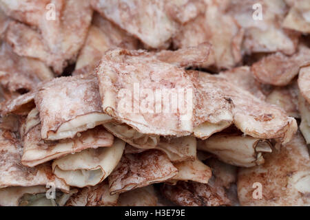 Fresh squid in tubes closeup background food seafood Stock Photo