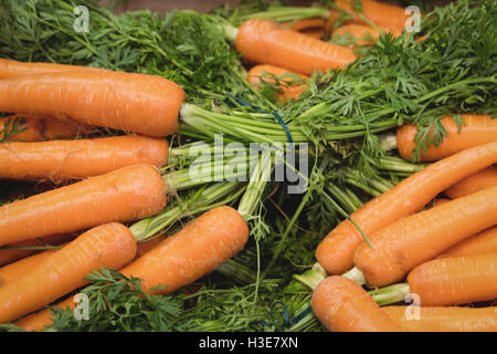 Fresh carrots in supermarket Stock Photo