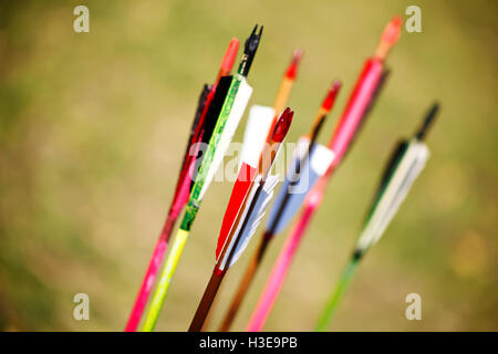 a wooden arrows for the bow close up Stock Photo