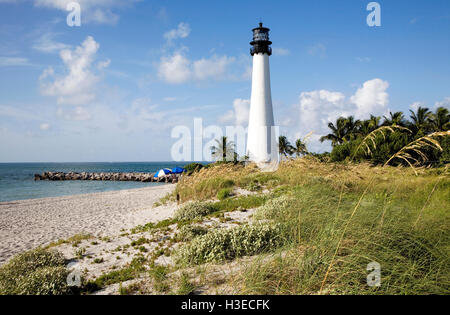 Cape Florida Light overlooking the Biscayne Channel amid a cascade of sea oats on a brilliant sunny morning in Florida. Stock Photo