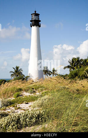 Cape Florida Light overlooking the Biscayne Channel amid a cascade of sea oats on a brilliant sunny morning in Florida. Stock Photo