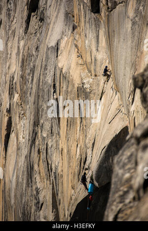 Men climbing a big wall route on El Capitan, Yosemite National Park, CA.