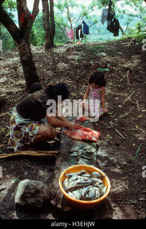 GUAZAPA, EL SALVADOR, June 1982: - Within the FPL Guerrilla's Zones of Control -  Women working in the fishing cooperative gut fish caught in nearby lake Cuscatlan.   Photo by Mike Goldwater Stock Photo