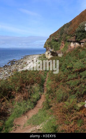Coastal walking path leading to Kings Cave Isle of Arran Scotland  September 2016 Stock Photo