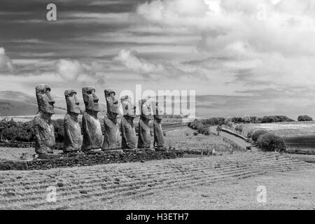 Black and white photo of moai statues at Ahu Akivi on Easter Island in Chile Stock Photo