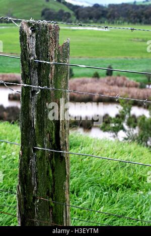 Old, mossy, wooden fence post, with lush green farmland beyond. Stock Photo