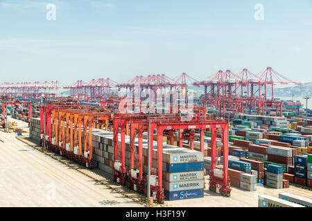 Scene of Shanghai port container freight terminal. Shanghai became the world's largest container Stock Photo