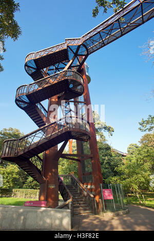 Treetop walkway, Kew Gardens. Stock Photo