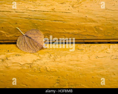 Leaf on cracked yellow paint Stock Photo