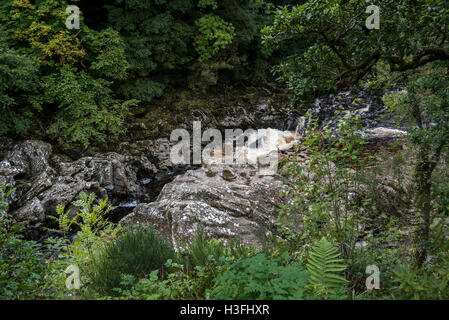 Soldier's Leap, historic spot along the River Garry at the Pass of Killiecrankie, Scotland, UK Stock Photo