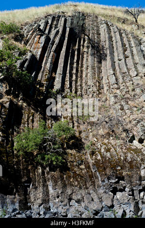 Columnar basalt along the Lower Salmon River in west-central Idaho Stock Photo